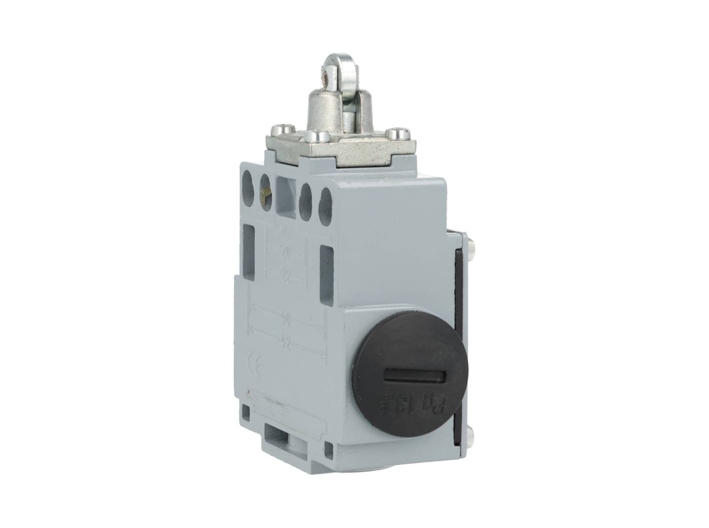 DM1-F12Z11 — MICROSWITCH DE FINAL DE CARRERA ROLDANA, METALICA, 1NA+1NC, 24V/10A, 120V/6A, 230V/3.1A, 240V/3A