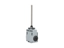 DM1-T93Z11 — MICROSWITCH DE FINAL DE CARRERA RESORTE, ACERO INOXIDABLE, 1NA+1NC, 24V/10A, 120V/6A, 230V/3.1A, 240V/3A
