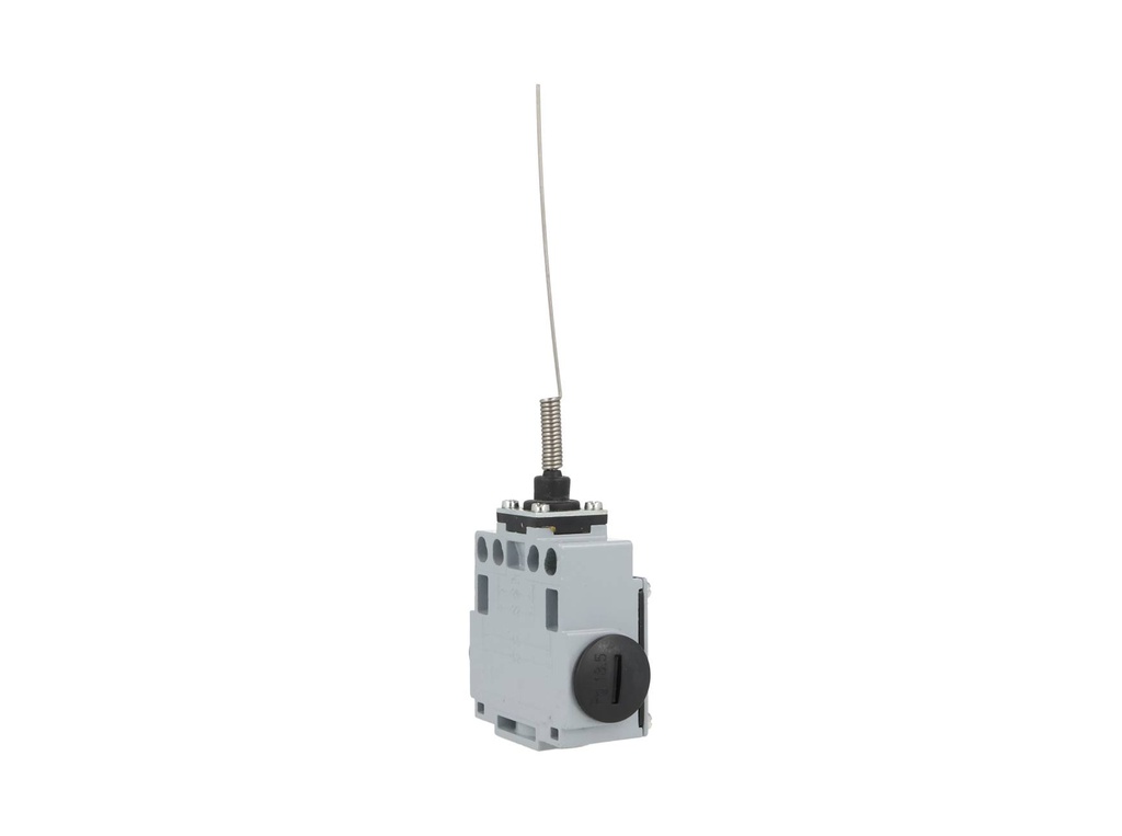 DM1-T91Z11 — MICROSWITCH DE FINAL DE CARRERA RESORTE, Y VARILLA DE ACERO INOXIDABLE, 1NA+1NC, 24V/10A, 120V/6A, 230V/3.1A, 240V/3A