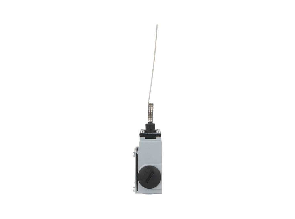 DM1-T91Z11 — MICROSWITCH DE FINAL DE CARRERA RESORTE, Y VARILLA DE ACERO INOXIDABLE, 1NA+1NC, 24V/10A, 120V/6A, 230V/3.1A, 240V/3A