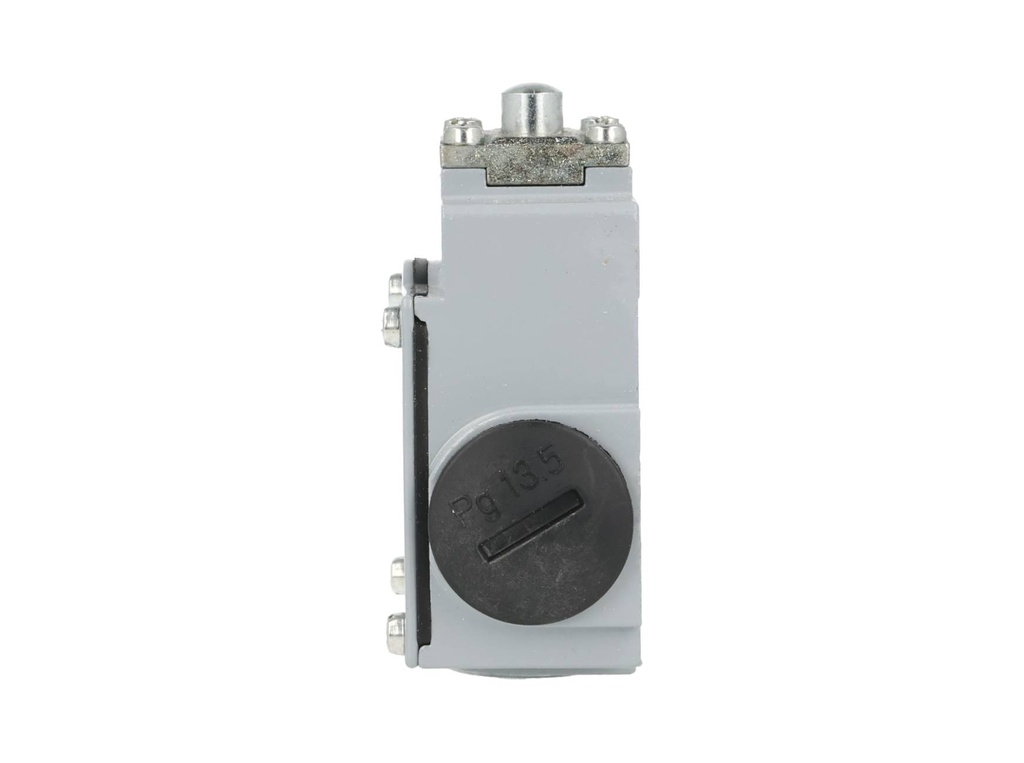 DM1-F11Z11 — MICROSWITCH DE FINAL DE CARRERA PIN 1NA+, 1NC, 24V/10A, 120V/6A, 230V/3.1A. 240V/3A,