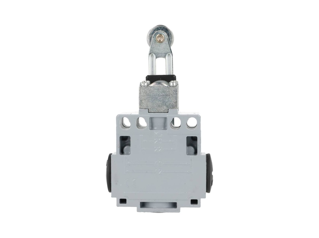 DM1-F53Z11 — MICROSWITCH DE FINAL DE CARRERA PALANCA AJUSTABLE Y ROLDANA METALICA 1NA+1NC, 24V/10A, 120V/6A, 230V/3.1A, 240V/3A