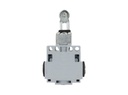 DM1-F53Z11 — MICROSWITCH DE FINAL DE CARRERA PALANCA AJUSTABLE Y ROLDANA METALICA 1NA+1NC, 24V/10A, 120V/6A, 230V/3.1A, 240V/3A