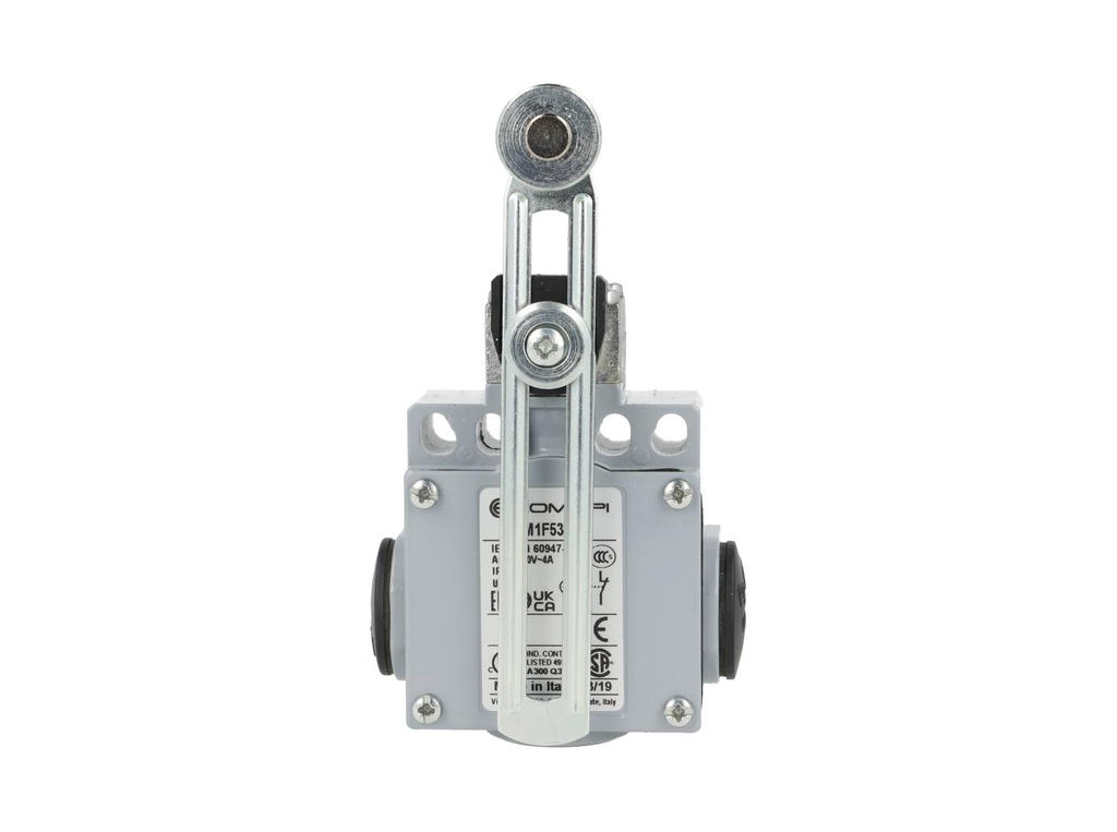 DM1-F53Z11 — MICROSWITCH DE FINAL DE CARRERA PALANCA AJUSTABLE Y ROLDANA METALICA 1NA+1NC, 24V/10A, 120V/6A, 230V/3.1A, 240V/3A