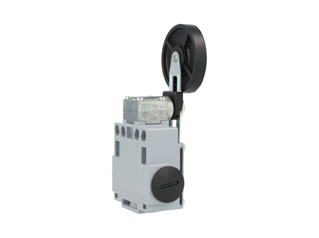 DM1-F52Z11 — MICROSWITCH DE FINAL DE CARRERA PALANCA, METALICA AJUSTABLE Y RODAJA GRANDE DE GOMA, 1NA+1NC, 24V/10A, 120V/6A, 230V/3.1A, 240V/3A