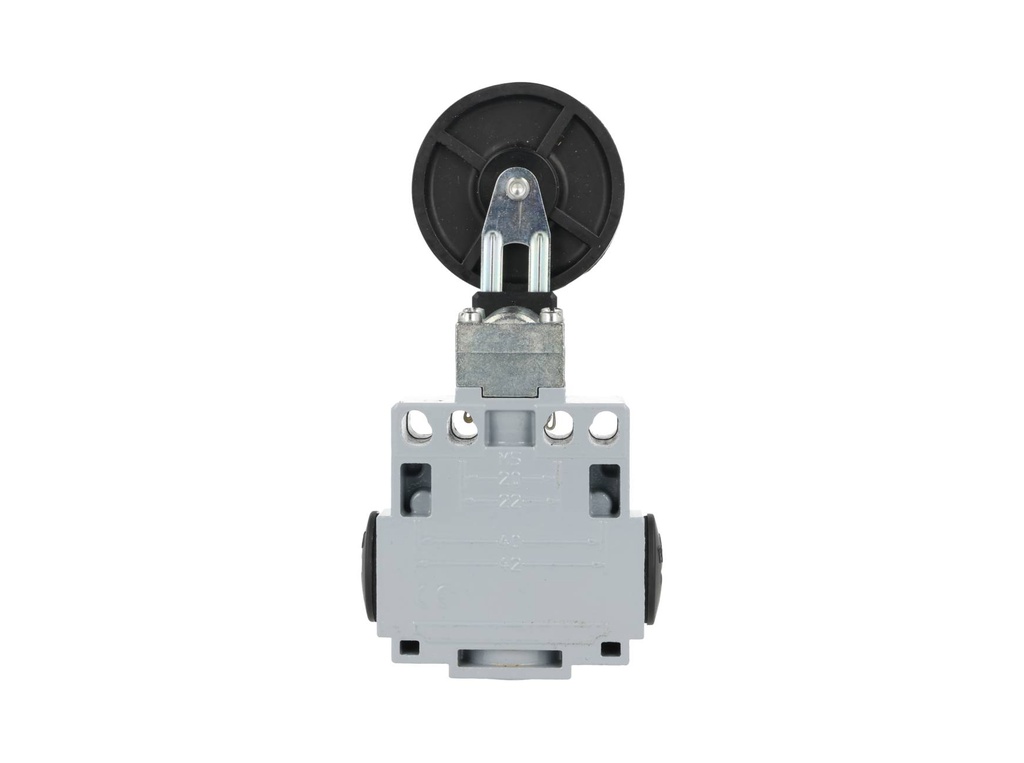 DM1-F52Z11 — MICROSWITCH DE FINAL DE CARRERA PALANCA, METALICA AJUSTABLE Y RODAJA GRANDE DE GOMA, 1NA+1NC, 24V/10A, 120V/6A, 230V/3.1A, 240V/3A