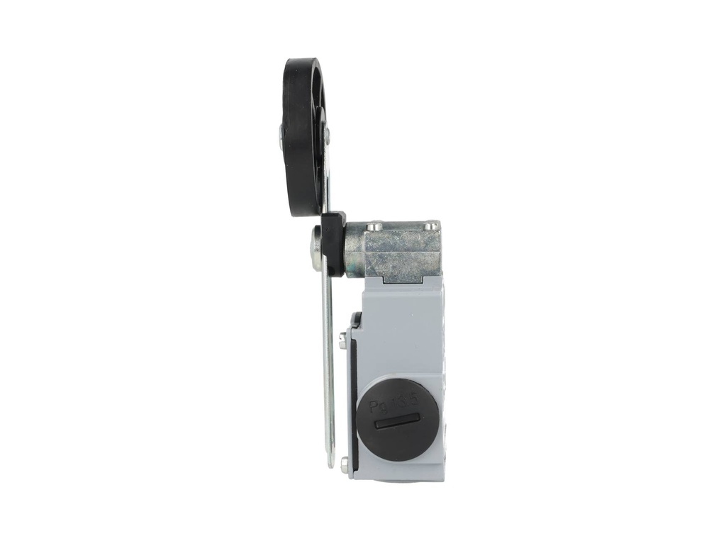 DM1-F52Z11 — MICROSWITCH DE FINAL DE CARRERA PALANCA, METALICA AJUSTABLE Y RODAJA GRANDE DE GOMA, 1NA+1NC, 24V/10A, 120V/6A, 230V/3.1A, 240V/3A