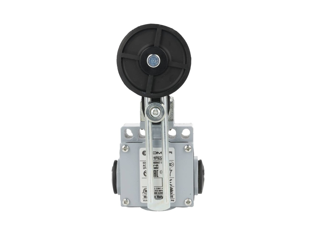 DM1-F52Z11 — MICROSWITCH DE FINAL DE CARRERA PALANCA, METALICA AJUSTABLE Y RODAJA GRANDE DE GOMA, 1NA+1NC, 24V/10A, 120V/6A, 230V/3.1A, 240V/3A