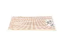 S-095_3.webp