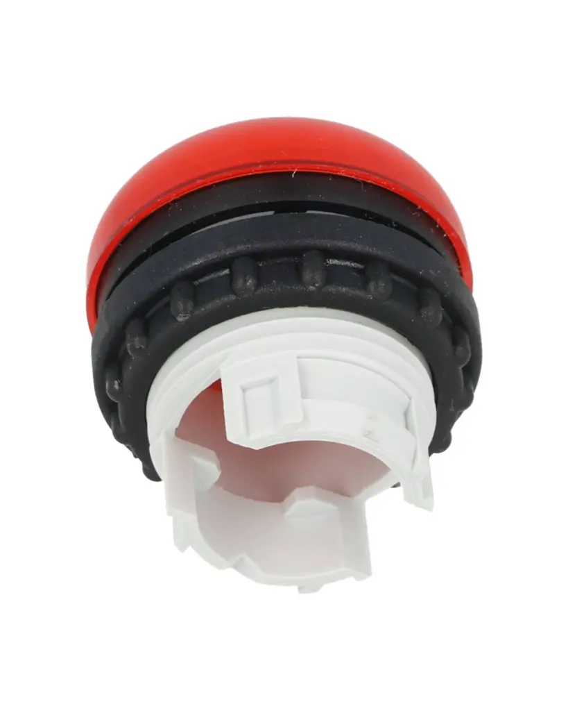 M22-L-R_2.webp