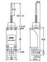 XZ-8/166 — MICROSWITCH DE FINAL DE CARRERA RESORTE, PUNTA PLASTICA