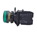 A22-RLF-GN/E — INDICADOR LUMINOSO VERDE