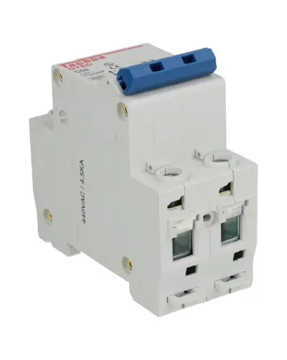 [2C50] 2C50 — INTERRUPTOR MINIATURA 2P 50AMP 440VCA PARA RIEL CURVA C