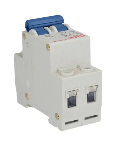 [2C6] 2C6 — INTERRUPTOR MINIATURA 2P 6AMP 440VCA PARA RIEL CURVA C