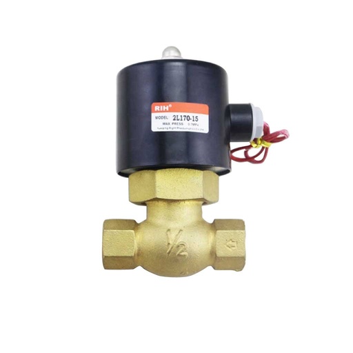 [2L170-15-110V] 2L170-15-110V — VALVULA PARA VAPOR, 1/2 NPT, 110VCA, 14.2-213PSI