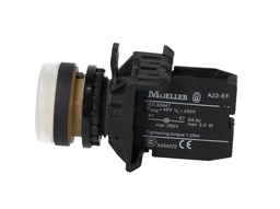 [A22-RLF-WS/E] A22-RLF-WS/E — INDICADOR LUMINOSO BLANCO