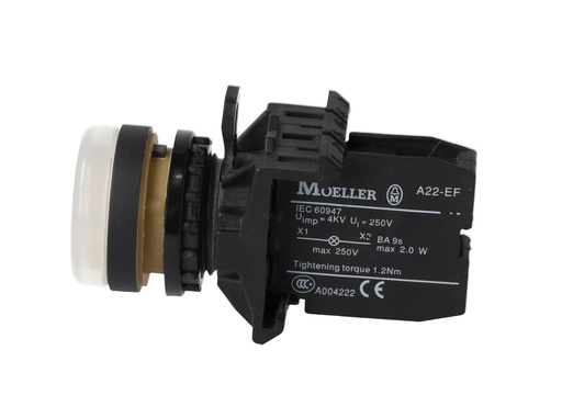 [A22-RLF-WS/E] A22-RLF-WS/E — INDICADOR LUMINOSO BLANCO